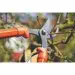 Sécateur Manche Bois Orange Tramontina – Coupe Précise Jardin – Image 2