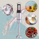 Bras Mixeur 500W Inox 2 Vitesses Starmann HMS-HB21