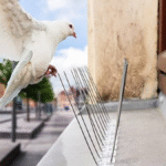 Pic Anti-Pigeon Métal 50cm - Lot de 100 pièces – Image 2