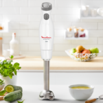 Bras Mixeur 2 Vitesses 450W MOULINEX