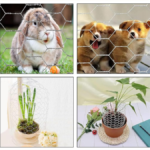 GRILLAGE POULAILLER PM 35ML 1ER CHOIX - Image 1 - SOGEDIM Market