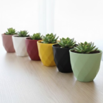 POT JARDIN N° 5 GARDEN TOHFA - Image 1 - SOGEDIM Market