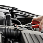 PINCE A COLLIER COUDE XCX-10068/1 - Image 2 - SOGEDIM Market