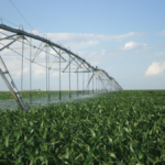 ASPERSUER ATOMISEUR BLEU 4.5 – Image 3