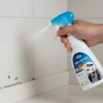 INSECTICIDE EXIT ANTI-FOURMIS