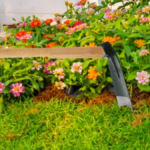 HOUE NØ1 CROCODILE DASTOOL – Image 2