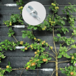 TENDEUR FIL GALVA P.M – Image 3