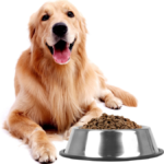 ASSIETTE INOX POUR CHIENS MM – Image 2