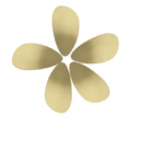 STICKER MIROIR AUTOCOLLANT HL 05PCS – Image 2