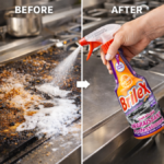 DEGRAISANT PRO 450ML BRILEX