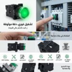 BOUTON POUSSOIRE VERT AVEC VOIYANT CHNT – Image 2